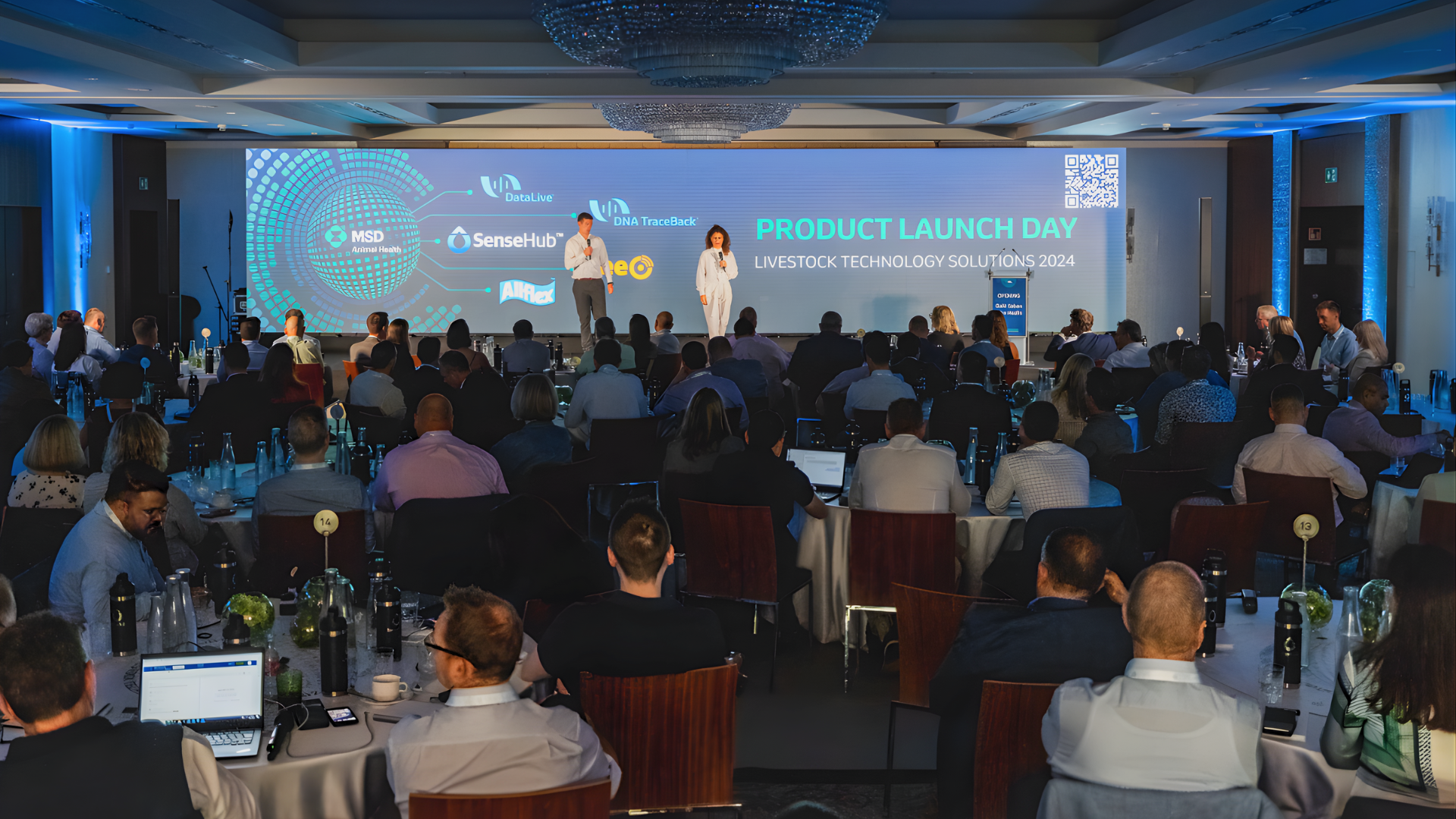 Dynamic Product Launch